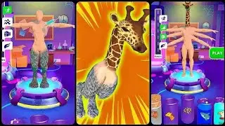 ✅Merge Animal 3D Game Play l Max Level