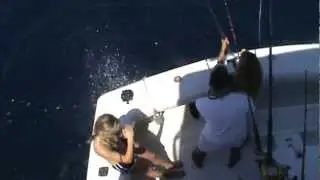 Los Suenos Fishing Charters | Chaser Sport Fishing