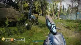 Destiny 2 live stream.
