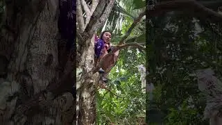Neng iroh multi talen  cabat #gadisdesa #comedy #kampungsepi #lucu #pedesaan #funny