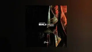 STORMY - Bali Maak (Officiel Audio)