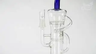 The 