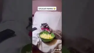 Memes compilation 4