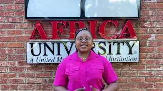 The role of Digital Transformation in aiding Africa&rsquo;s Development Agenda