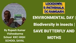 ENVIRONMENTAL DAY | diversity in insects | SAVE BUTTERFLY AND MOTHS | Teacher's Diary