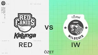 fastPay Wildcats (IW) vs RED Canids Kalunga (RED) Ma&ccedil; &Ouml;zeti | MSI 2022 Grup Aşaması 2. G&uuml;n