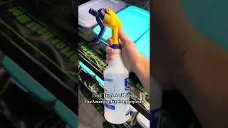 Multiply your plants easily! Sand propagation hack for fruit trees, houseplants, and garden plants!