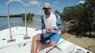 How To Select The Right Permit Fly