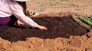 Expanding the Garden, Building Soil and Sharing Space With Nature 