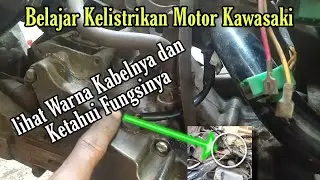 warna kabel kawasaki zx 130 dan fungsinya