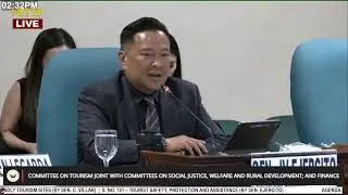 Senate hearing: Committee on Tourism