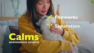 Bach Flower Remedies - Rescue Remedy Pet #dog #pets #pet #petlover