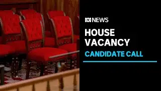 Fancy taking a tilt at an upper house in parliament? | ABC News