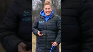 Не позволяйте своей собаке прыгать на людей, ОБУЧАЯ других людей!