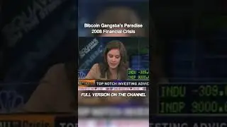 Bitcoin Gangsta's Paradise (2008 Financial Crisis)