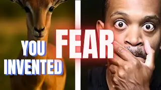 Why Animals Don&rsquo;t Fear the Future and you DO? (Stoicism Explained)