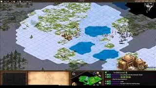 AoE2 TheViper perfect mangonel micro