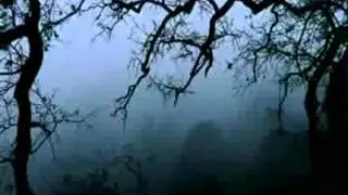 Arabic Nasheed The space has narrowed by Nassir Al-Saeed - YouTube.mp4