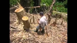 Tandag Water District History.wmv