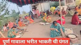 पुर्ण गावाला भरीत भाकरी ची पंगत