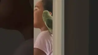 Morning routine with parrot.#talkingparrot#greekparrot#birds #shorts#funnyparrot #alexandrineparrot