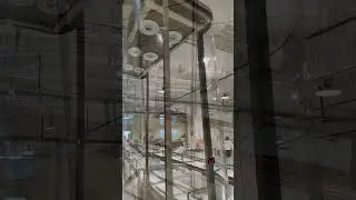 ✨ Curved Glass Display ｜ This is the Ultimate Jewelry Showcase! #luxury jewelry showcase