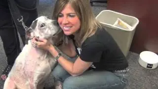 WDHA's Rock N' Ruff with Buster