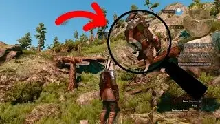 The Witcher 3 - Roach Funny Moments