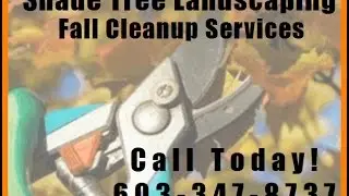 Fall Backyard Cleanup Bedford NH - Landscape Maintenance