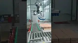Powered Roller Conveyor in Collaborative Robot Palletizing Systems