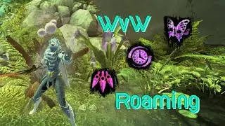 Mesmer, Chrono, Virtuoso - Gw2 Roaming/Duels
