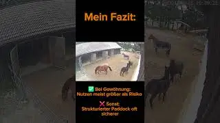Weide im Winter- Artgerecht oder Risiko? 🌱❄️🐎 