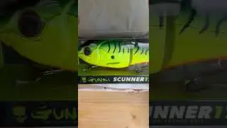 S&uuml;&szlig;es oder Saures - Hecht und Barsch unboxing Box 2 - Top oder Flop?