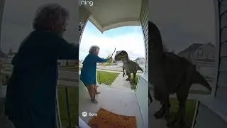 Insane Dinosaur #doorbell #RELL #viral #funny