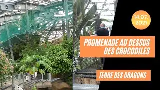 Terre de Dragons , au dessus des crocodiles