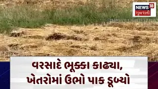 South India Rain | વરસાદે ભૂક્કા કાઢ્યા, ખેતરોમાં ઉભો પાક ડૂબ્યો | Farm| Gujarati News | N18V