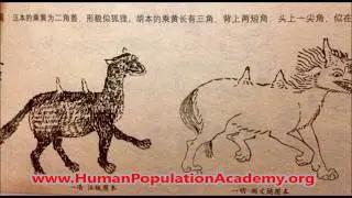 Description of Women Born On August 30th of Common Years From the Catalog of Human Population