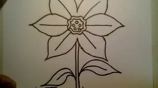 How To Draw A Daffodil flower easy Como dibujar una flor del narcisa