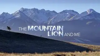 16. MAFF | The Mountain Lion and Me - trailer