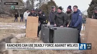 Colorado ranchers now allowed to use deadly force against wolves in certain situations