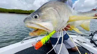 MONSTER Threadfin Salmon Fishing in Hervey Bay - Hervey Bay Fly and Sportfishing