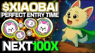 $XIAOBAI COIN PRICE IS AT A PERFECT ENTRY POSITION TO MAKE AN EASY 100X!!!