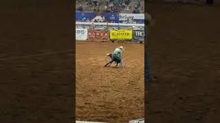 Goat tying at nationals #horse #roping #rodeo #goattying #nlbra