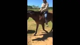 Ashley and Bonnie Bareback and Bridleless