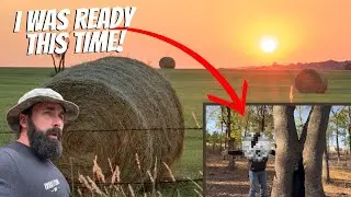 Caught STEALING Our Hay!