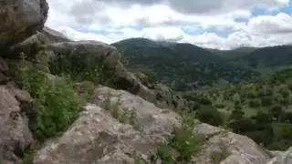 LA COLMENILLA 50MB