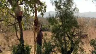 Wild At Heart Series 6 Ep 2 Part 2