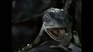 Budweiser Beer Frog and Lizard Commercial 10