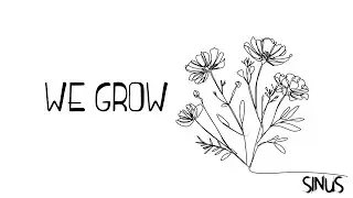 Sinus - We Grow