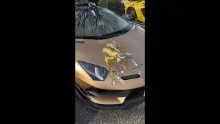 Lambo Edit #caredits #lamborghini #edit #careditmusic #singing #shorts